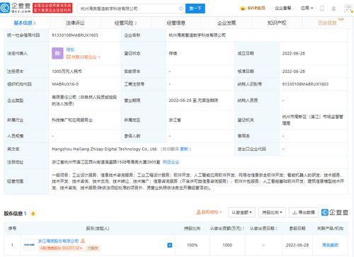 軟件外包服務(wù) 高效、靈活與創(chuàng)新的技術(shù)合作伙伴