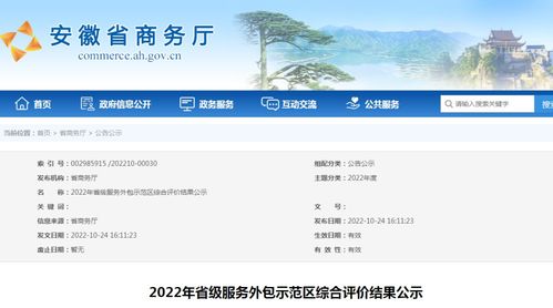 安徽公示2022年省級服務(wù)外包示范區(qū)綜合評價結(jié)果 軟件開發(fā)領(lǐng)域表現(xiàn)突出
